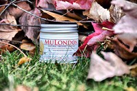 Organic Beauty Products Image 3