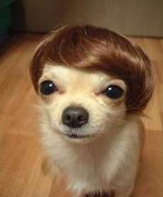 15 Weird Wigs and Terrible Toupees
