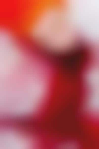 Erotic Photography for Foodies