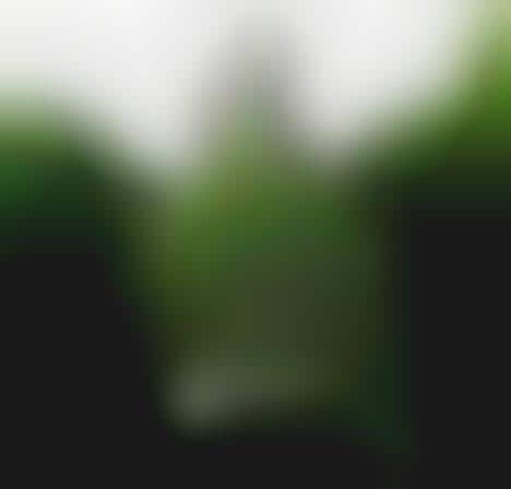 Spherical Photography Effects