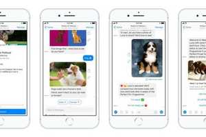 Tailored Pet Care Chatbots