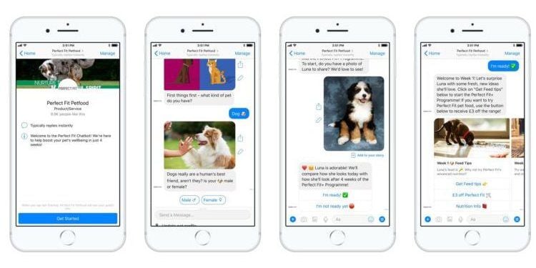 Tailored Pet Care Chatbots