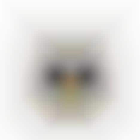 Animal-Shaped Fire Detectors