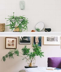 Transformational Greenery Vases Image 4