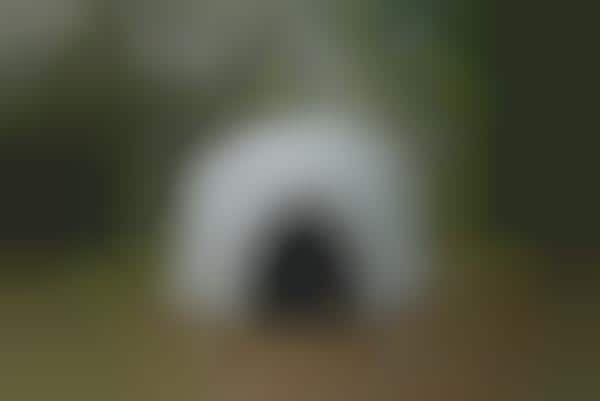 Artistic Photography Immersion Tents