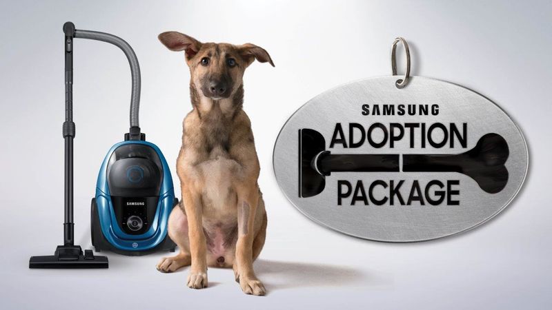 Complimentary Vacuum Campaigns