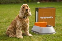 Smart Pet Water Bowls Image 6