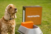 Smart Pet Water Bowls Image 7