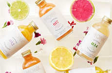 Cannabis-Infused Botanical Beverages
