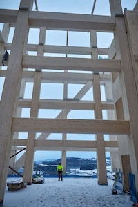 Super-Tall Timber Towers Image 7