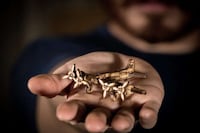 Detail-Oriented Laser-Cut Kits Image 5