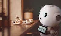 Robot Mascot Toys Image 2