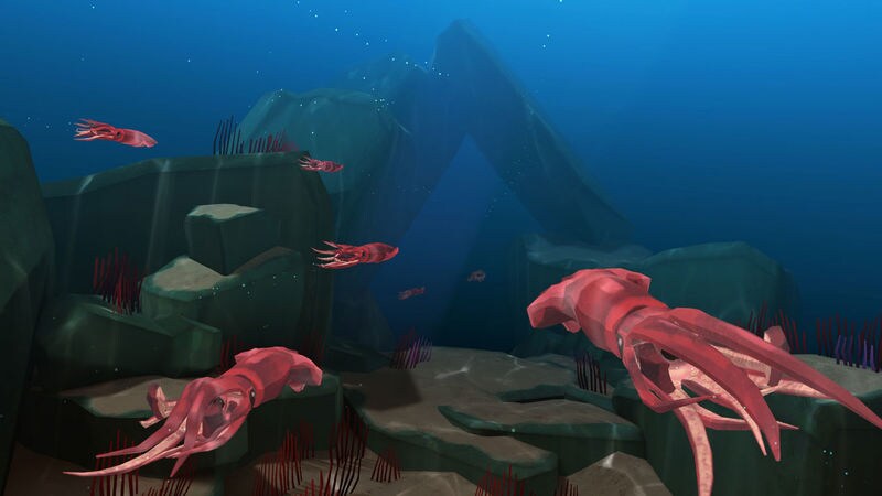 Immersive Coastline Simulators