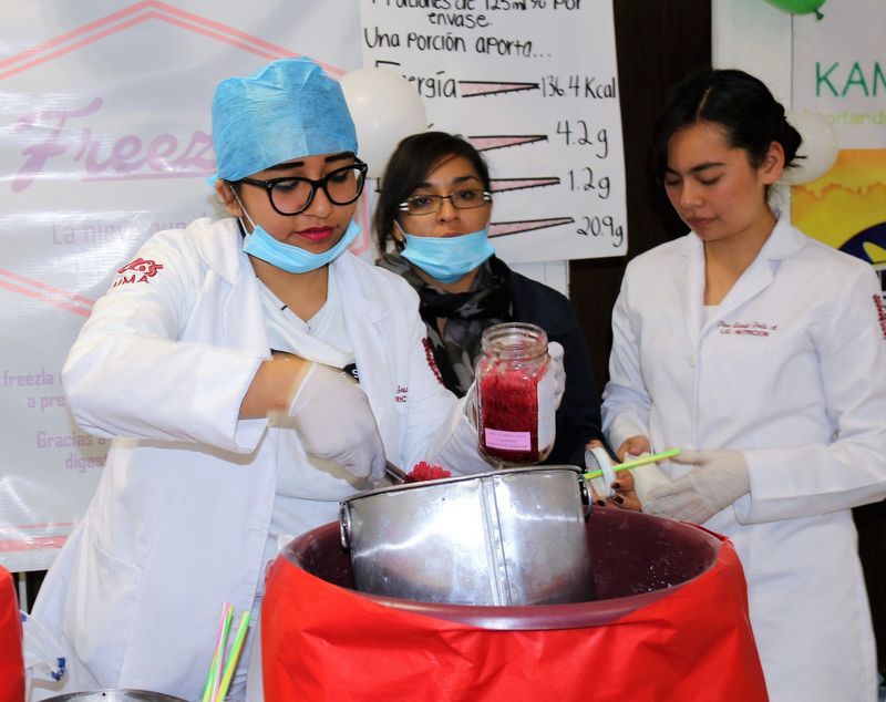 Anti-Aging Hibiscus Ice Creams