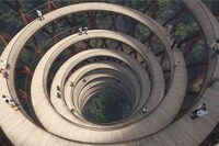 Modern Forest Adventure Parks Image 3