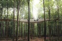 Modern Forest Adventure Parks Image 4