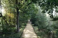 Modern Forest Adventure Parks Image 5