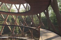 Modern Forest Adventure Parks Image 6