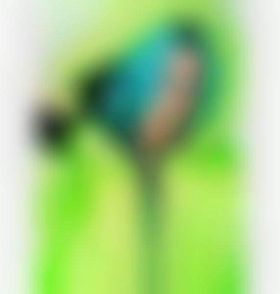 Neon Club Kid Outerwear