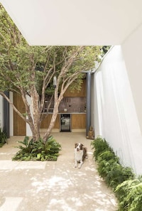 Narrow Concrete Refurbishments Image 5