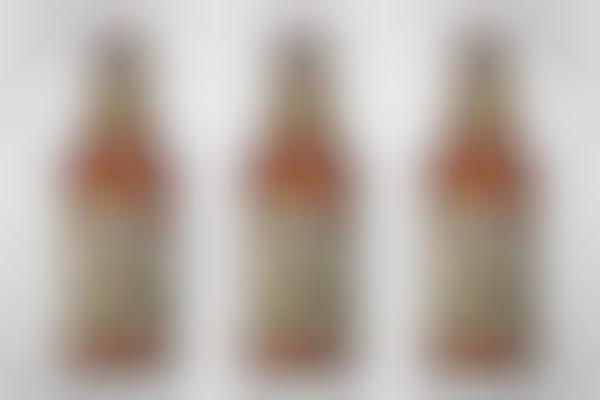 Double Blasted IPAs