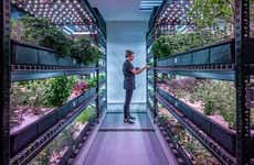 Hydroponic NYC Farms