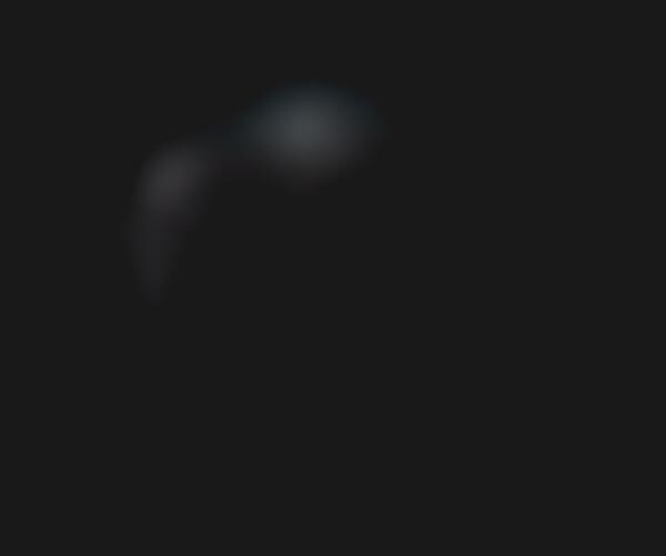 In-Camera AI Assistants