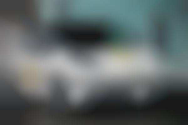 Branded Autonomous Taxi Services