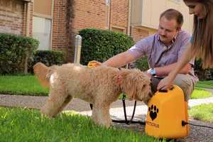 Deep-Cleansing Pet Bathers: The 'PetScrub' Removes Debris and Freshens ...