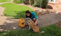 Deep-Cleansing Pet Bathers Image 2