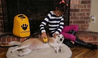 Deep-Cleansing Pet Bathers Image 3