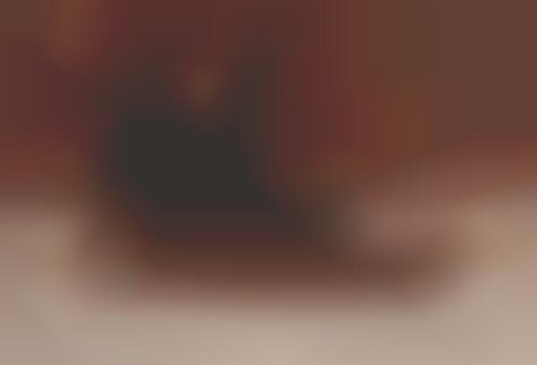 skyridge major brown