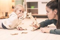 Modular Wooden Animals Image 3