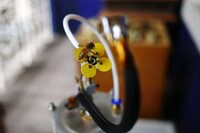 Robotic Bee Attractors Image 2