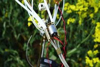 Robotic Bee Attractors Image 5