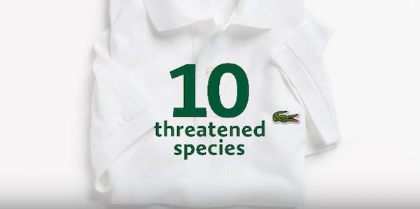 Endangered Species Campaign Shirts