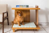 Wooden Contemporary Dog Houses Image 3