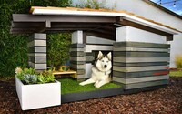 Wooden Contemporary Dog Houses Image 4