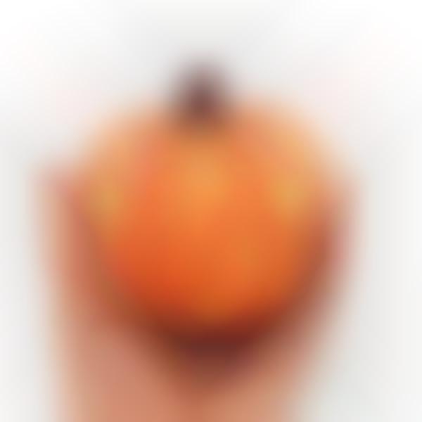 Scented Pumpkin Squeeze Toys