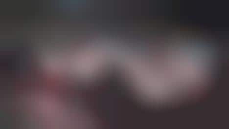 Revived Iconic Racers