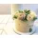 Realistic Succulent Plant Cakes Image 5