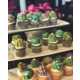 Realistic Succulent Plant Cakes Image 6