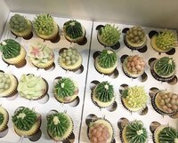 Realistic Succulent Plant Cakes Image 8