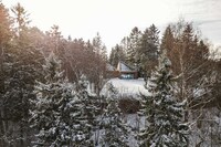 Modern Forest Cottages Image 2