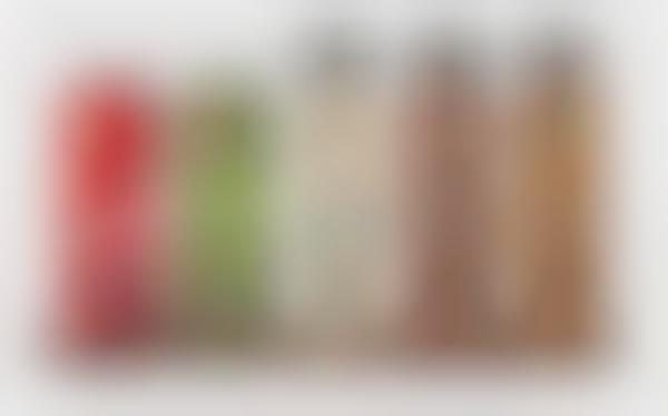 Diverse Plant Protein Beverages