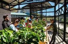 Coffee-Farming Centers