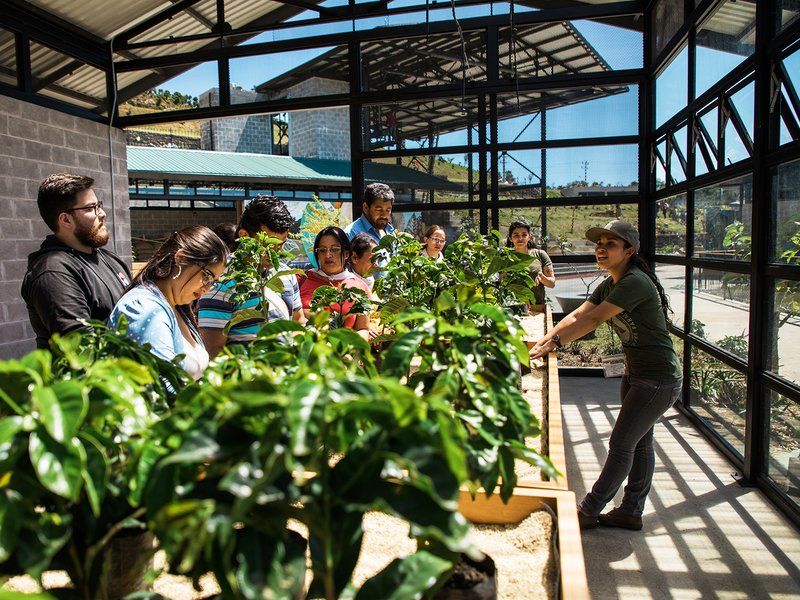 Coffee-Farming Centers