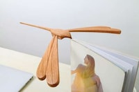 Balancing Avian Light Sources Image 6