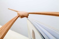Balancing Avian Light Sources Image 7