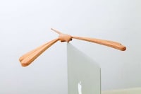Balancing Avian Light Sources Image 8